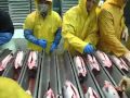 Norwegian salmon BRUZZSEAFOOD AS Salmon processing  video 2015 For customer use ONLY