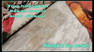 Cara menghilangkan bekas ompol anak dikasur//Bau Pesing lenyap@mamachinazochannel6471