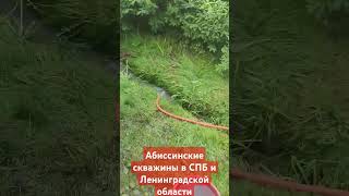 Абиссинская скважина в Агалатово #абиссинскаяскважина #стройка #скважинанаводу #колодец #вода #лето