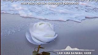 Download lagu Story wa Law kana bainanal habib Story wa Law kana bainanal habib