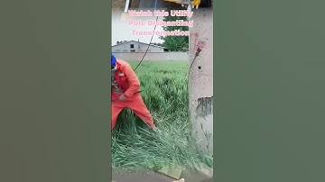 Watch this Utility Pole Dismantling Transformation! Essential Techniques Revealed!