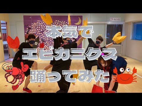 【ダンス】スタッフが本気でエビカニクス踊ってみた！