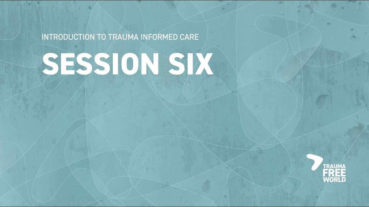 Session 6: Introduction to Trauma Informed Care - Self-Regulation - YouTube