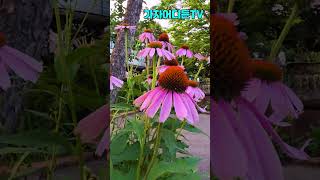 #가수김지미,#진한커피#포천소흘카페아리,#공연문의환영,#가자어디든TV, #Let’s go anywhere.TV