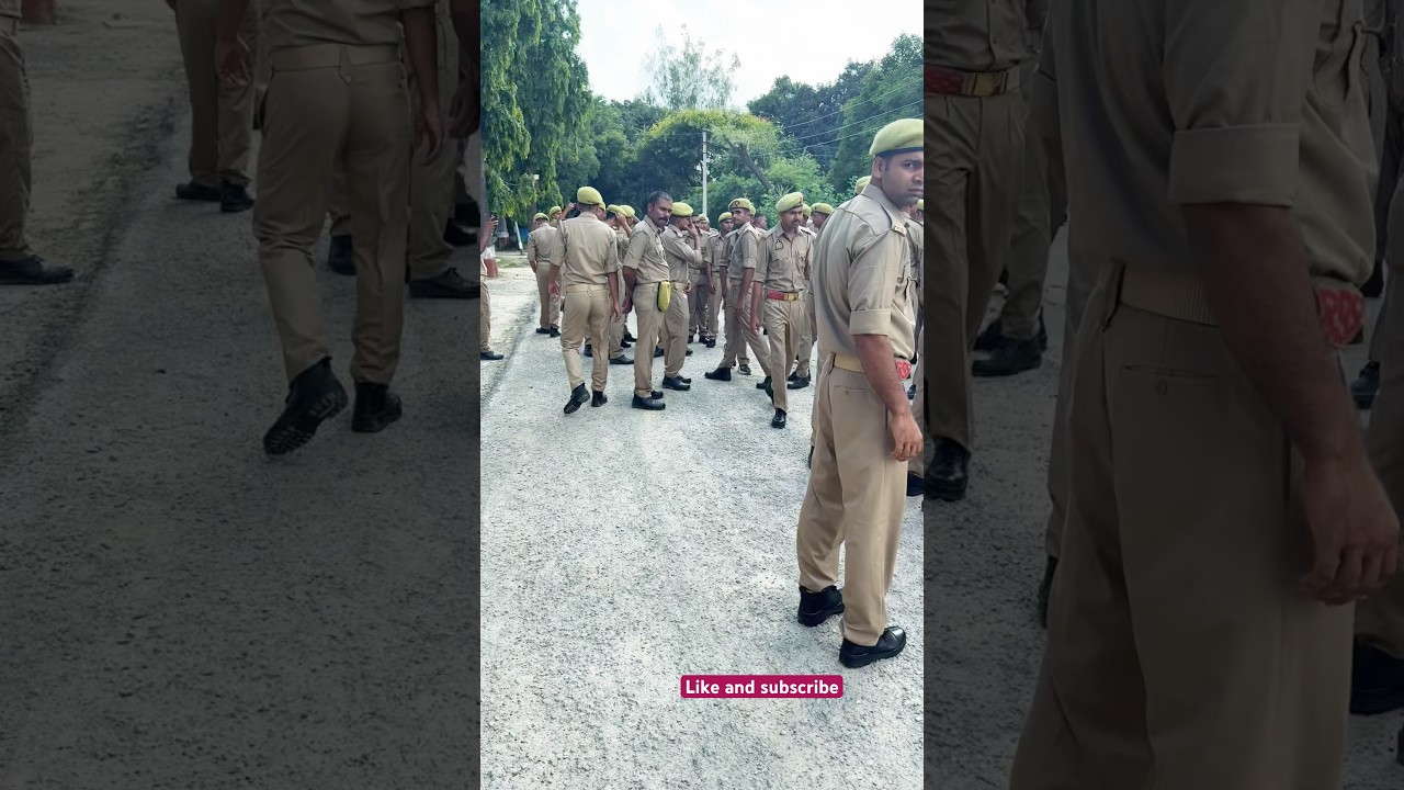 8 battalion pac bareilly 