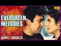 Evergreen melodies  90s romantic love songs  unforgettable melodies   90s hindi songs