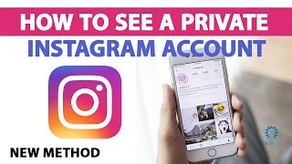 How to See a Private Instagram Account 2025 [New Method] screenshot 3