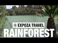 Rainforest (Madagascar) Vacation Travel Video Guide