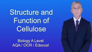 A Level Biology Revision "Structure and Function of Cellulose"