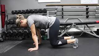 Quadruped Plank for Core