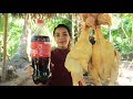 Yummy cooking chicken with coca-cola recipe - Cooking skill
