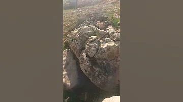 29 دجنبر 2024 