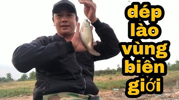 Câu Cá Rô Đồng.Về Vùng Biên Giới Đụng Ổ Thác Lác(dép lào)Quá Đã/@ninhfishing