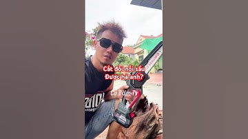 Máy cưa xích Workfix 8 inch có  bơm nhớt tự động | #cubomtv #diy #powertools #workfix