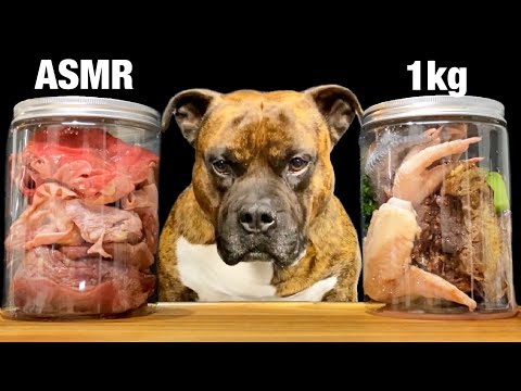 【大食い犬ASMR】生肉を瓶詰めしたら戸惑う愛犬が愛おしいwww  MUKBANG Dog eats raw meat bones