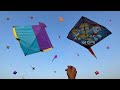 Moradabad Ki Manjuli Patang | Kite Cutting Moradabad kite || Kite Fighting Pro 🔥