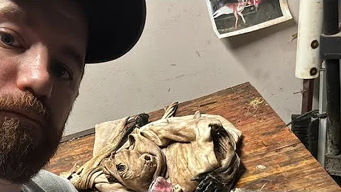 Blake Byler is live! Fleshing kangaroo hides!!