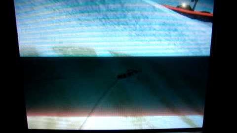 SSX Gameplay-Moby at Snowdream