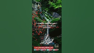 #دار_القرآن #القرآن_الكريم #تلاوة_صوت_جميل_عذب #اكسبلور #دويتو #duet #dar_alkoran #راحة_نفسية