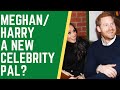 Meghan finally they have a new pal - but who ? #princeharry #meghanmarkle #royalfamily