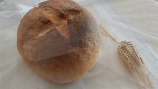 Pane di Altamura fatto in casa