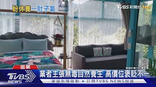 4.9顆星玻璃屋民宿網友稱掏1萬8當肥羊｜TVBS新聞 