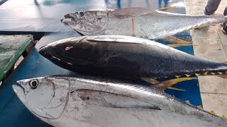 🔥🔪🐬live 14 Mei 2024📍AMAZING TUNA CUTTING SKILLS, PESANAN RM PADANG