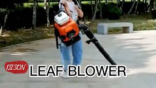 Revolutionize Your Yard Cleanup with BISON Leaf Blowers: Handheld & Backpack