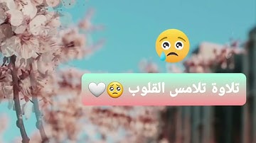 سورة المعارج الآية ( ٥ - ٣٥) _ تلاوة هادئة بصوت القارئ حمزة بوديب                   #القرآن_الكريم