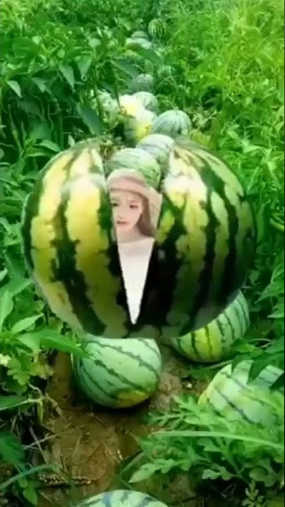 NHU^NG CLIP TRIE^U VIEW TIKTOK TRUNG HOA #satisfying#satisfyingvideos#oddlysatisfying#shorts