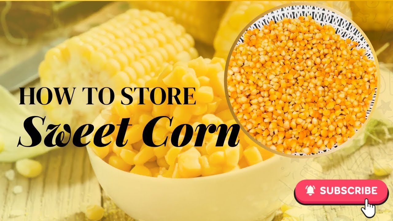 How to Store Sweet Corn for a Long Time | Meethi Makai Fresh Kaise Rakhein by Paridaan Kitchen 