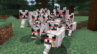 A lot annoying Minecraft things in one video...