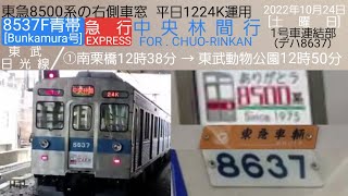 【東急8500系】急行・中央林間行の右側展望①／東急8537F、デハ8637青帯Bunkamura号・1224K運用／東武日光線、22年10月24日・南栗橋12時38分→東武動物公園12時50分