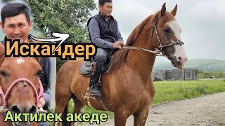 Искандер АКТИЛЕК АКЕДЕН