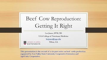 Reproductive Efficiency - Beef Series