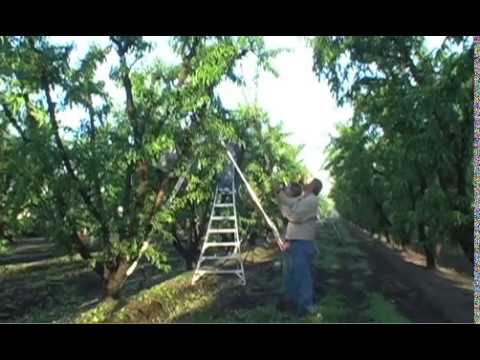 Farm Water and Corporate Agriculture - Boldt Farms