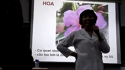 Hoa - PGS.TS Trương Thị Đẹp - Chuỗi video bài giảng Thực Vật Dược