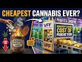 Village Farms Stock Analysis | Industry-Leading Cannabis Cultivation Cost Edge