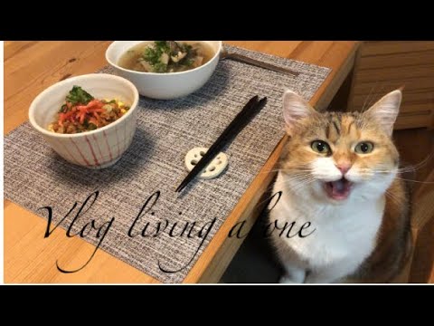 シンプルライフ 今日はちょびがたくさんお話しします Chobi Is Speaking A Lot Today Vlog 41 Youtube