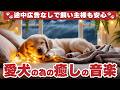 🐾留守番中の犬も安心!犬が落ち着くリラックス音楽🐾途中広告なしで長時間流せる犬用お留守番音楽🎶
