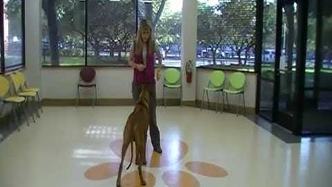 Santino in School Part Two transferring a cue!