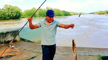 CÂU CÁ NGÁT CỐNG VĨNH KIM | Na Kim Vlog