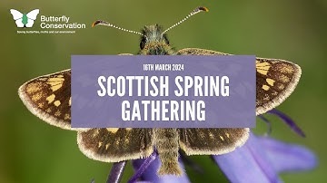 Scottish Spring Gathering 2024 | Butterfly Conservation