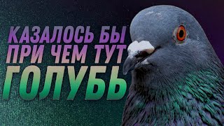 Коврик от Машеников | Гибрид из стекла и ткани