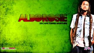 Alborosie - Slam bam