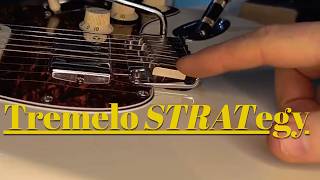 Simple but Effective Strat Tremelo Setup