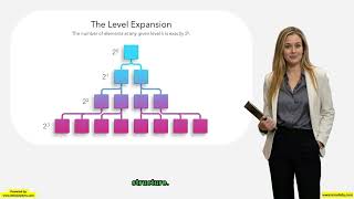 157. Mapping Array Trees