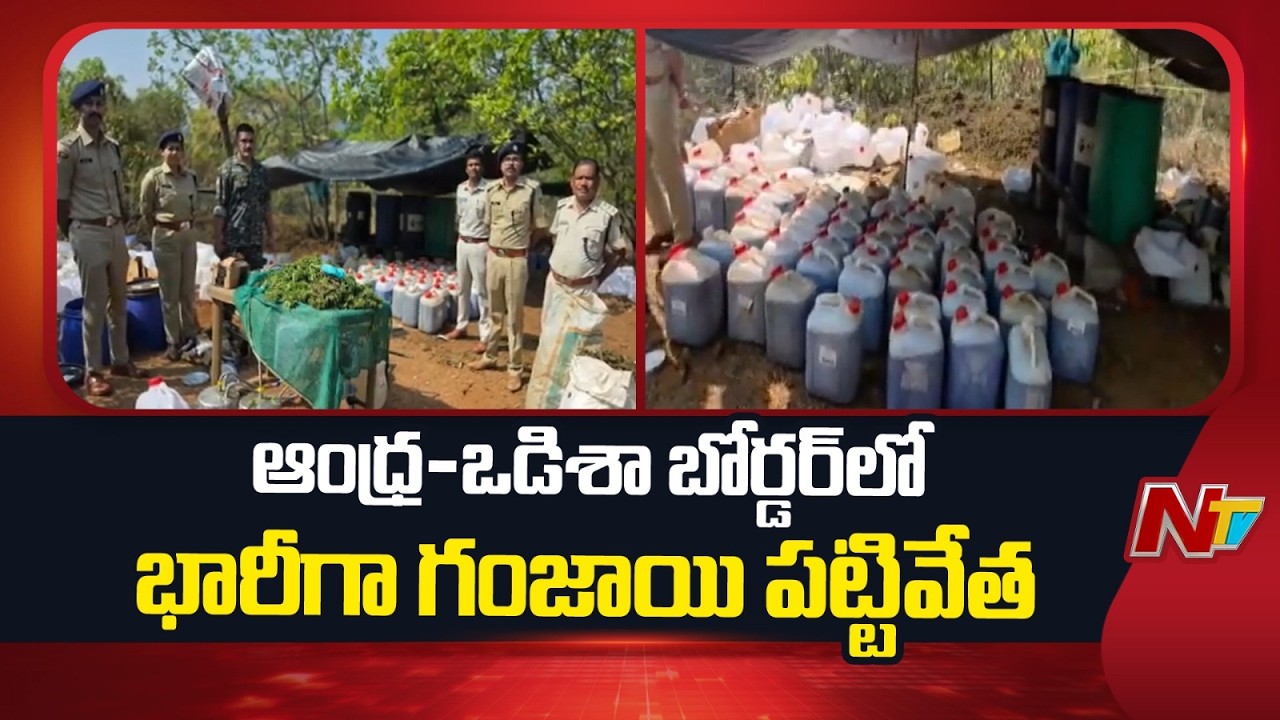 200 Crore Liquid Ganja Seized at Andhra–Odisha Border | NTV Telugu