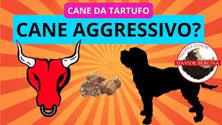 Possessività e possibile AGGRESSIVITA' del cane screenshot 3