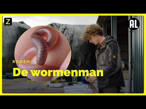 Video: Waarom Zijn Regenwormen Nodig?